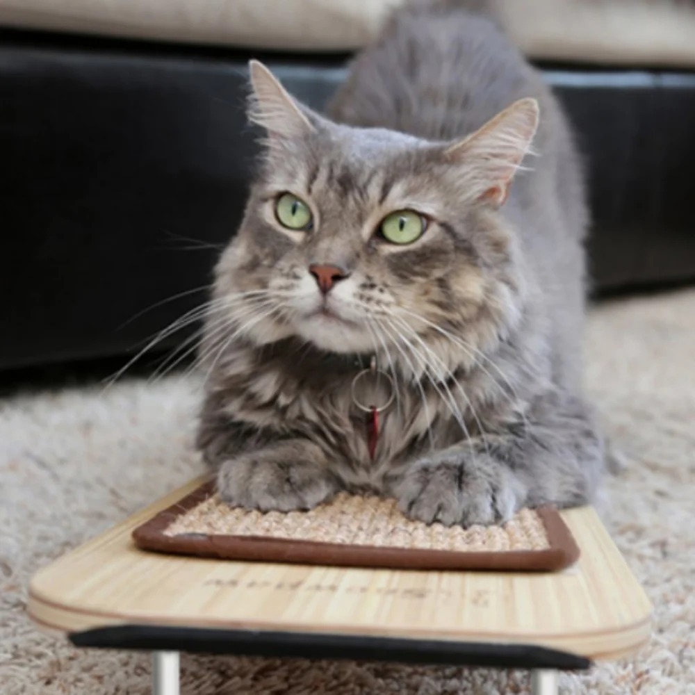 Cat Scratcher